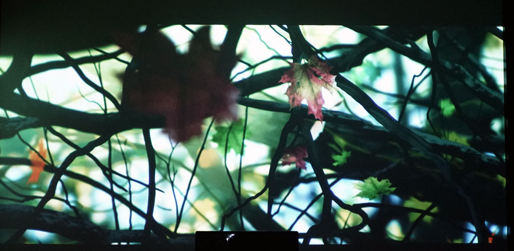 马兰士功放sr5012和8012有何不同,马兰士sr5010与5012功放区别