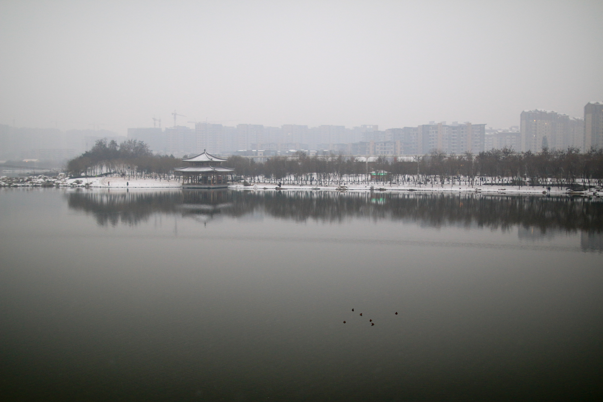 西安曲江池遗址公园值得去吗,西安曲江池遗址公园曲江池