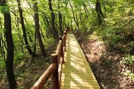 北京不容错过的赏花路线,北京香山红叶林观看最佳时间