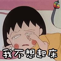 提升猫咪智商的玩具,提高猫咪的生活品质