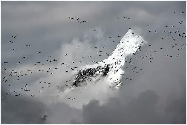 珠穆朗玛峰西坡大本营海拔多少,海拔最高的山峰是珠穆朗玛峰