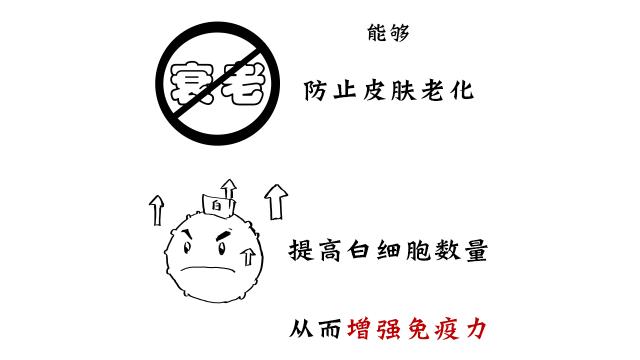 正宗的龟苓膏是用什么龟,龟苓膏上真的有龟吗