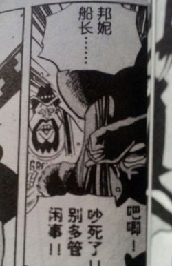 海贼王各大绝招,海贼王十大最终绝招排行榜