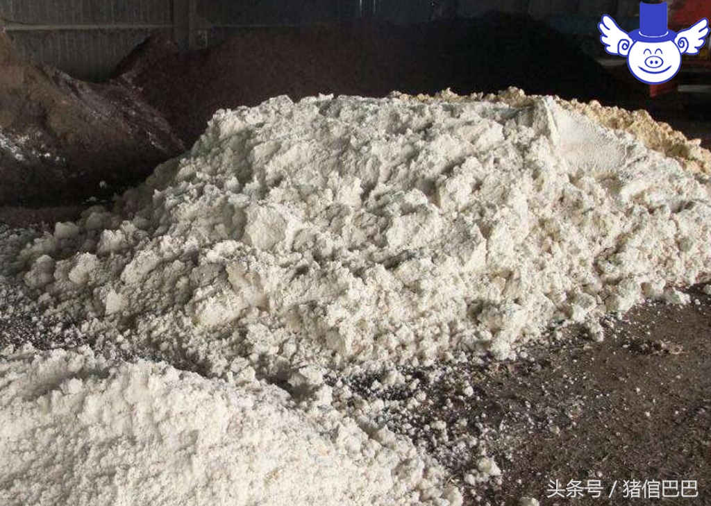 猪霉菌中毒有什么症状怎么治疗,猪霉菌毒素中毒的症状及治疗措施