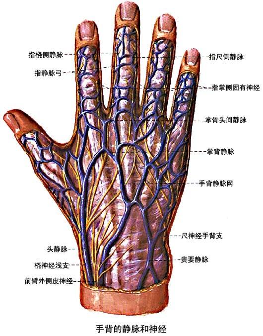 一针见血的方法,一针见血的方法与技巧