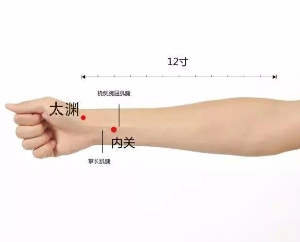 20个对身体有效黄金穴位,人体十大养生穴位