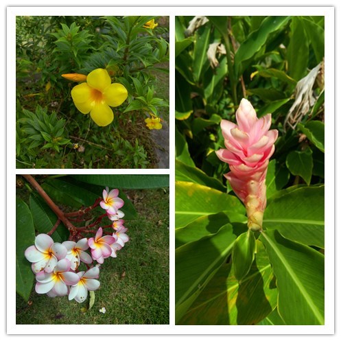 塞班北部观光怎么玩,塞班旅游景区有哪些