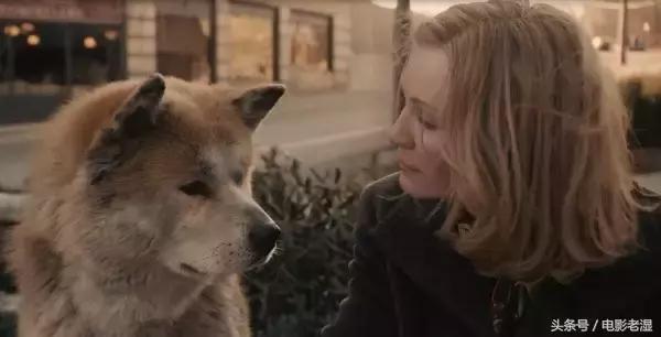 从各个角度解析一部电影,一句话解读一部电影