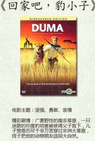 有助于孩子感恩的电影,七部激发孩子感恩心的电影