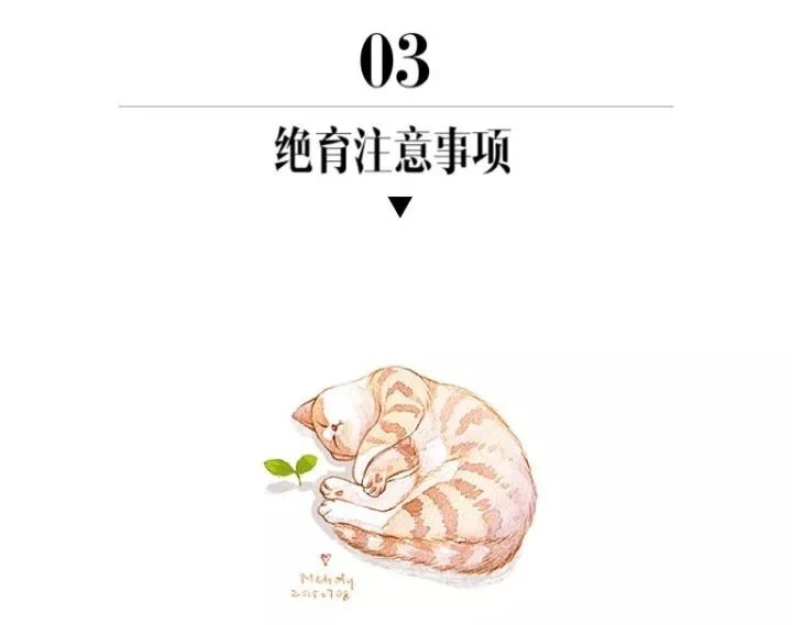 猫咪绝育后还是乱尿,关于猫咪绝育这里有最详细的攻略