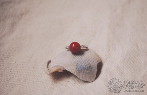 红珊瑚介绍,真正的红珊瑚是什么样的