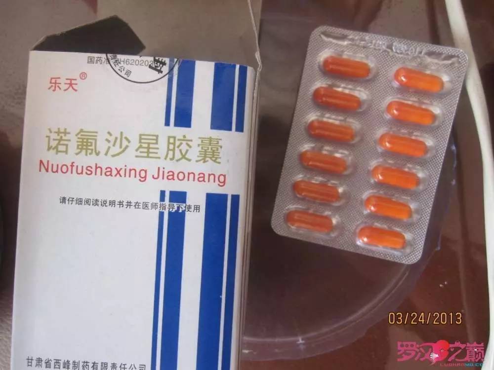 梭菌性肠炎的症状用什么药治疗,肠炎食疗最简单方法