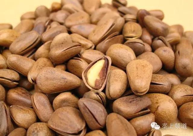 吓人吃瓜子竟然吃出病,嗑瓜子会导致什么病