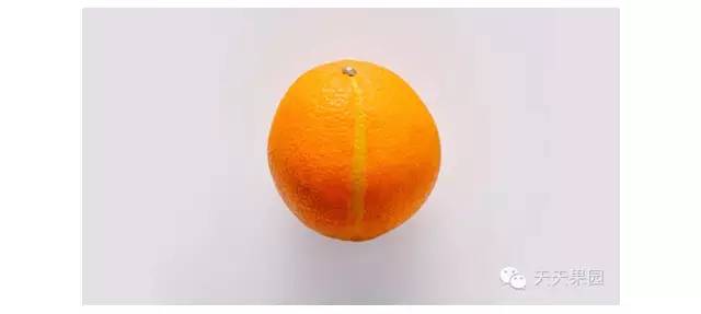 新技能get玩的停不下来了,怎么轻松开椰子吃到椰子肉