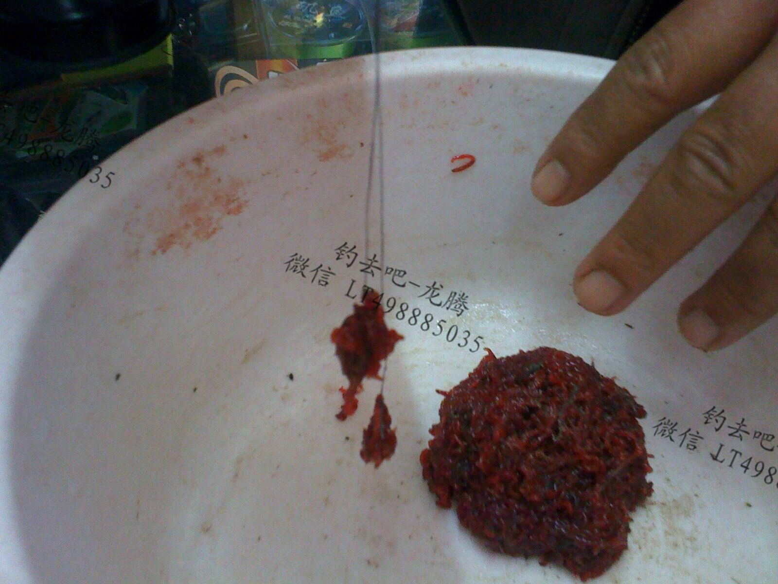 喂鱼的红虫买回来怎么保存下来,红虫钓鱼怎么保存不死