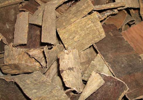 杜仲治肾虚腰痛还是损伤腰痛,杜仲补肾治腰疼要和什么搭配好