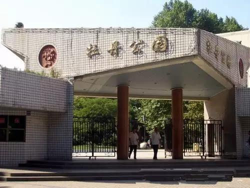 娲涢槼鐢熸椿鏀荤暐,娲涢槼鏈湴鐢熸椿鎸囧崡