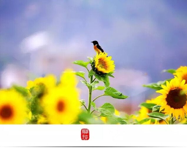 云南临沧美景图片,云南临沧旅行风景