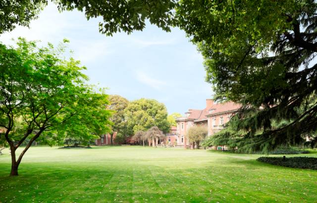 一场樱花雨醉了人间四月天,人间最美四月天樱花怒放