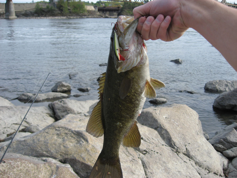 独钓静乐、群钓同乐、竞钓比乐，钓鱼的医疗保健