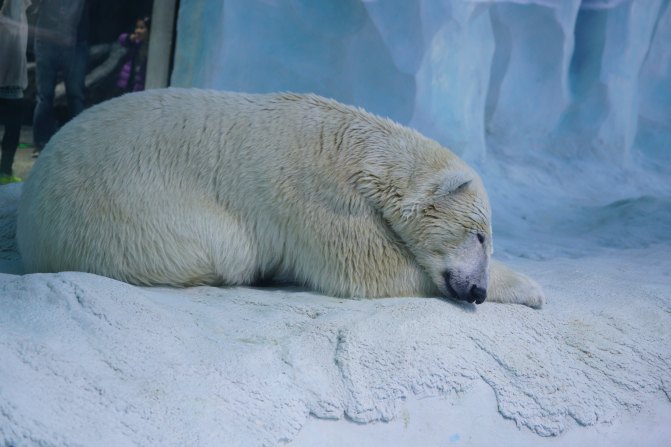 珠海长隆海洋王国2天1夜游玩攻略,最新珠海长隆海洋王国旅游攻略