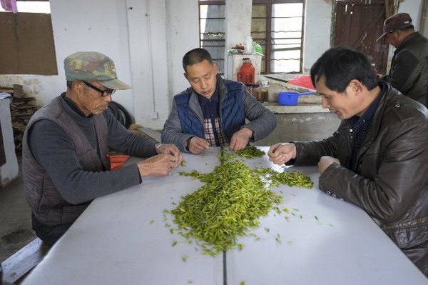太湖舒畅之旅：乐享田园生活