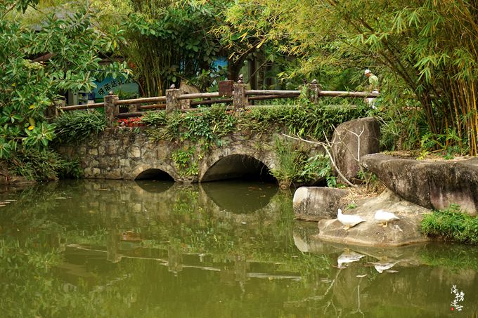 呀诺达，拾起我童年记忆的热带雨林
