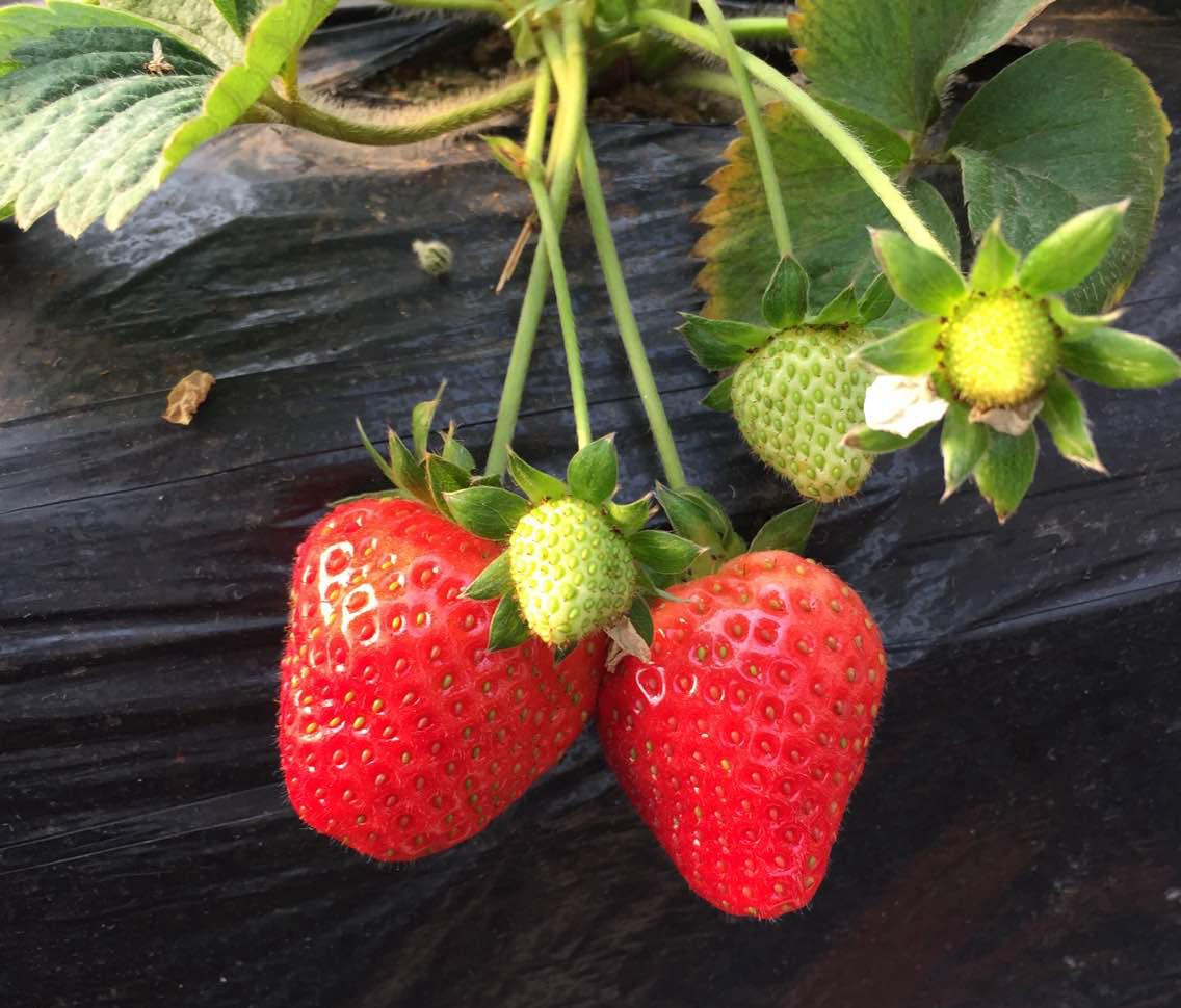 一大波的好消息袭来,一大波的好消息蜂拥而至