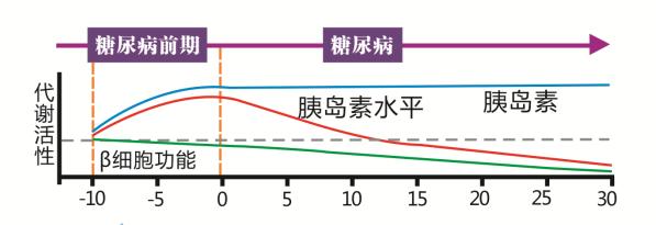餐后血糖高空腹不高原因,餐后血糖低于空腹血糖是怎么回事