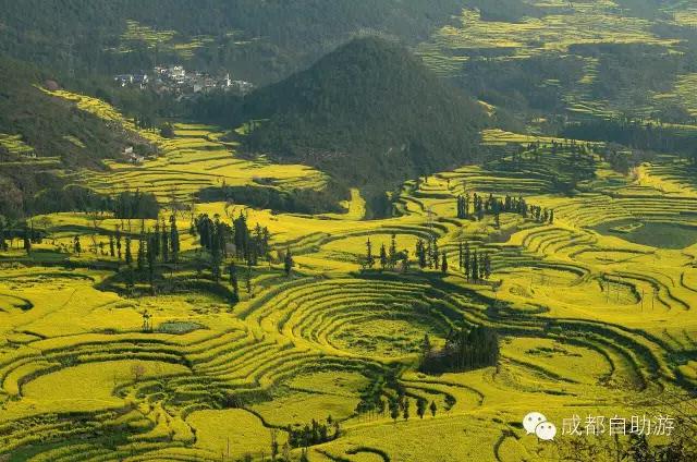 2022成都周边赏花,成都周边游赏花最佳景点