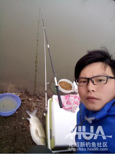 自制钓草鱼玉米必须要煮吗,发酵的玉米可以钓草鱼吗