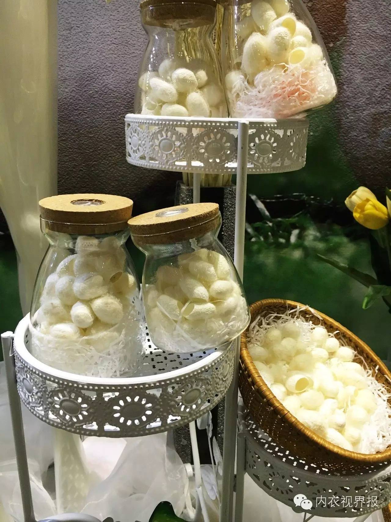 娅·筑2016新品鉴赏会召开，赢领薄时代