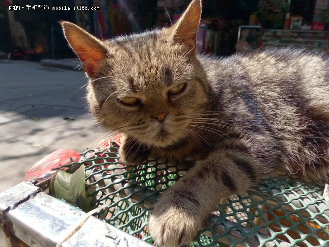 金立天鉴W909翻盖手机,金立天鉴w990s报价