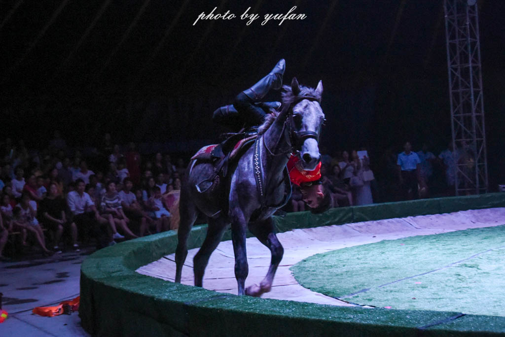 皇家大马戏巴伐利亚,广东哪里有大马戏