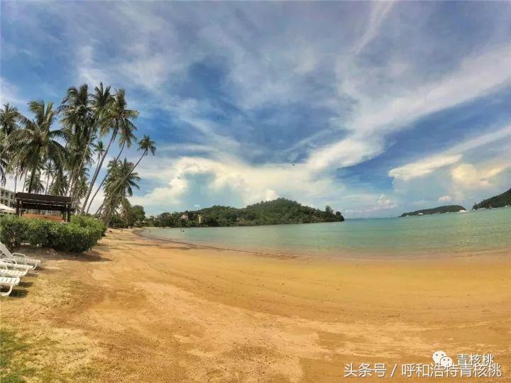 鍛煎拰娴╃壒鍒版櫘鍚夊矝,鍒锋垜婊村崱娉板浗鍘熺増