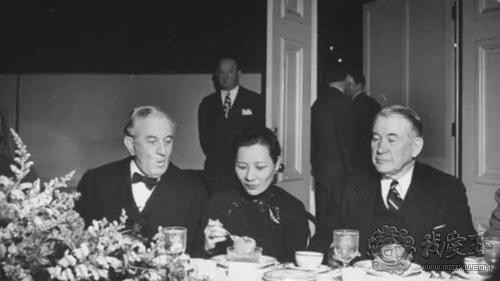 最好的红珊瑚是哪个,世界上最好的红珊瑚图片