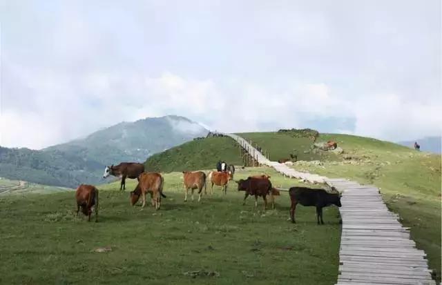 云南最美公路自驾出行攻略,自驾去云南沿途的风景美不胜收