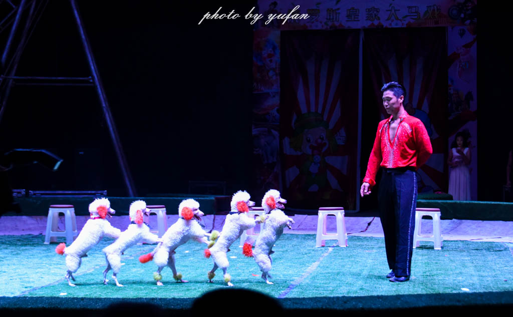 河源双节旅游攻略,国庆中秋去哪里玩好贵州