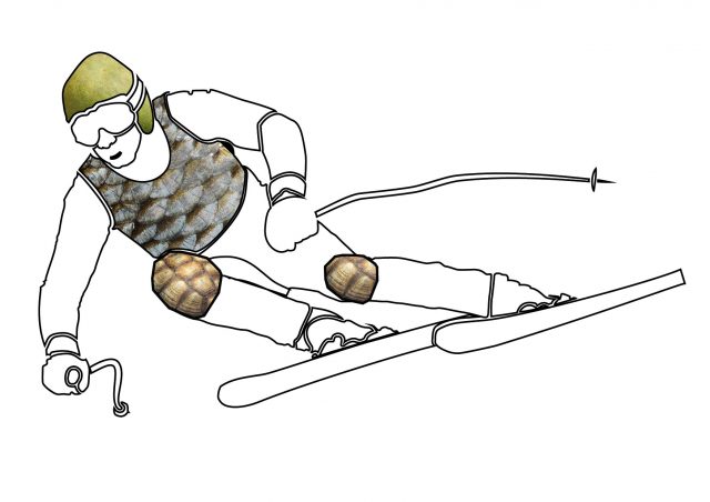 用柚子做头盔,用柚子做的头盔