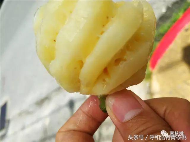 刷我滴卡泰国原版,呼和浩特直飞普吉岛