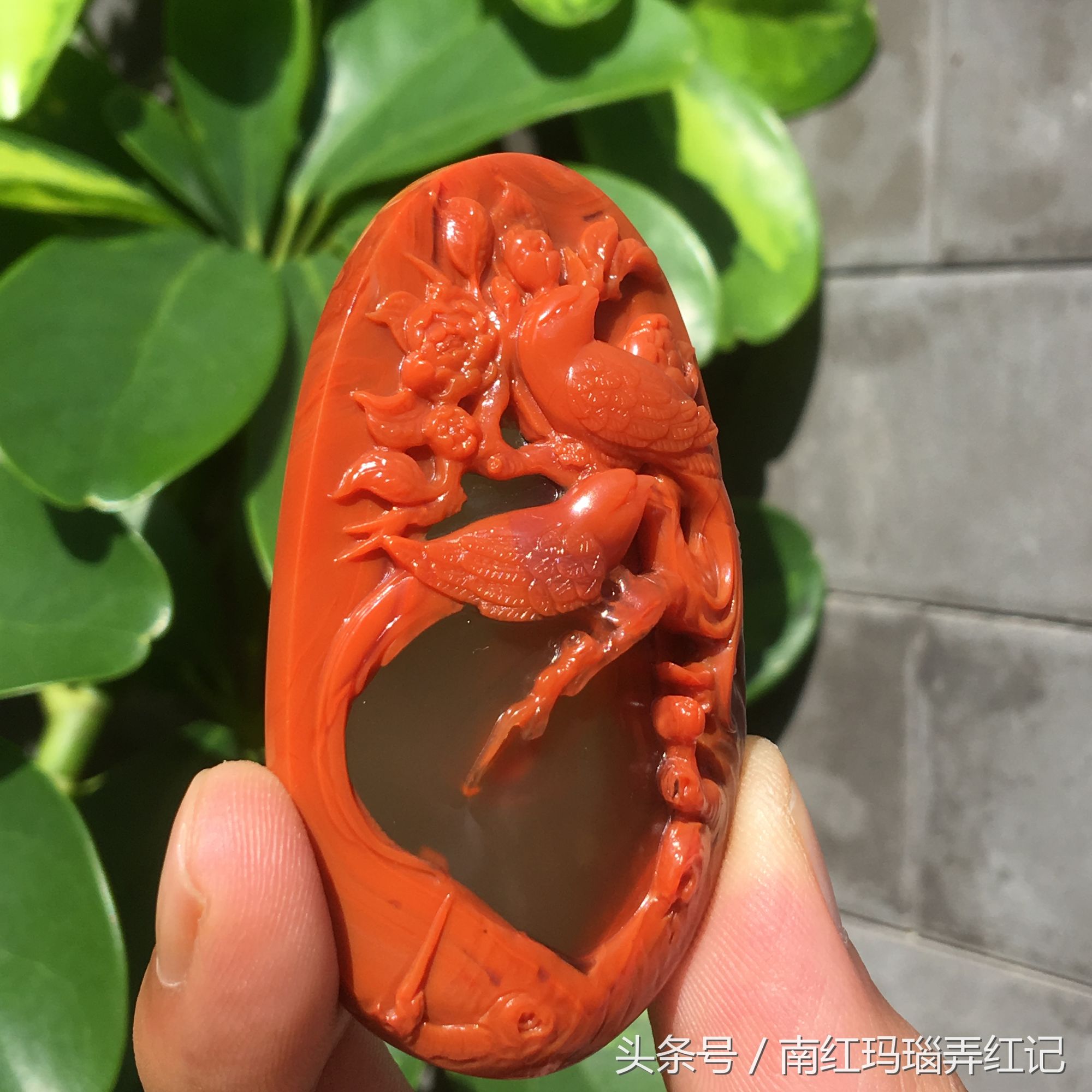 花开富贵喜鹊图寓意,喜鹊花开富贵图