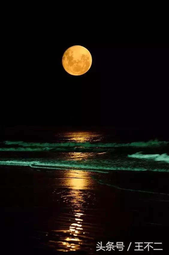 古代人的快乐生活,古代人的夜生活日常