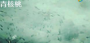 鍛煎拰娴╃壒鍒版櫘鍚夊矝,鍒锋垜婊村崱娉板浗鍘熺増