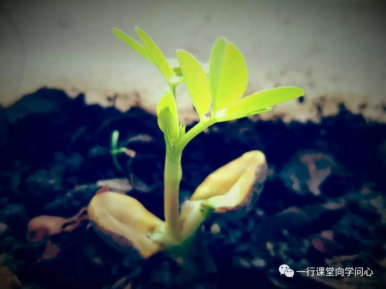 课堂重点知识归纳,课堂常用文学常识