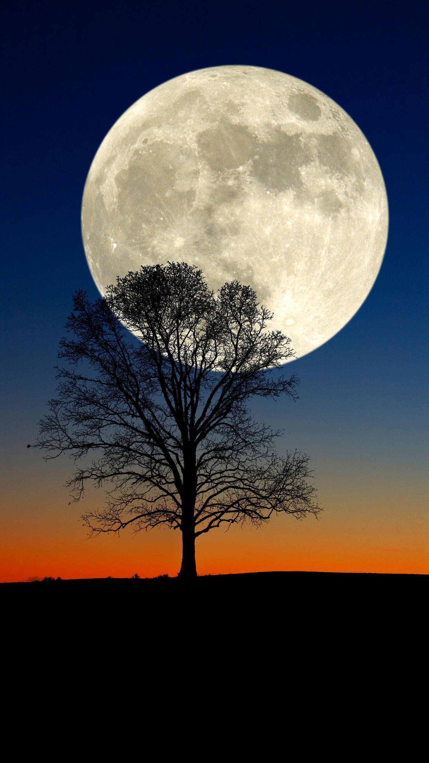 刻骨铭心的爱应该是这样的,刻骨铭心的爱总是那么撕心裂肺