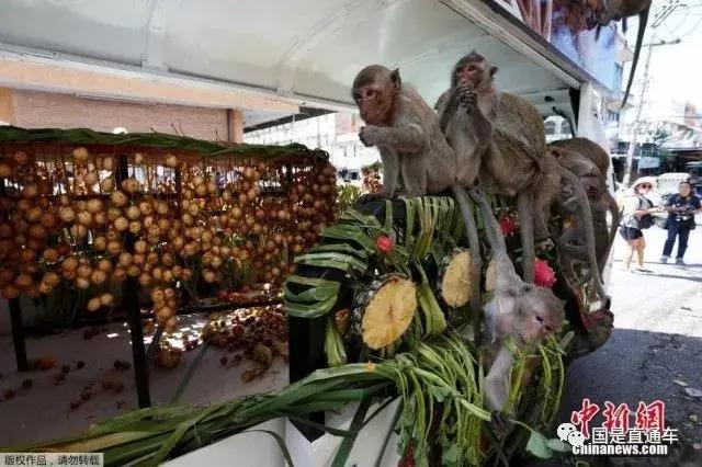 黄金周另类科普：这些节日的庆祝方式你不服不行