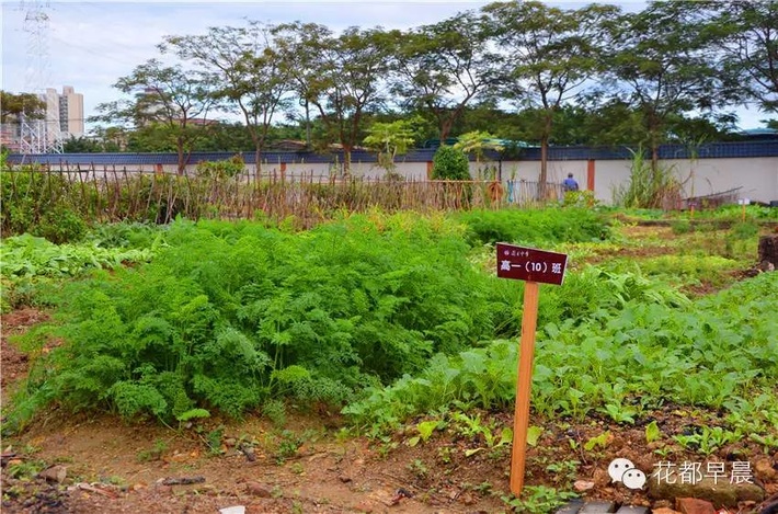 广州市花都区圆玄中学电话,广州市花都区圆玄中学