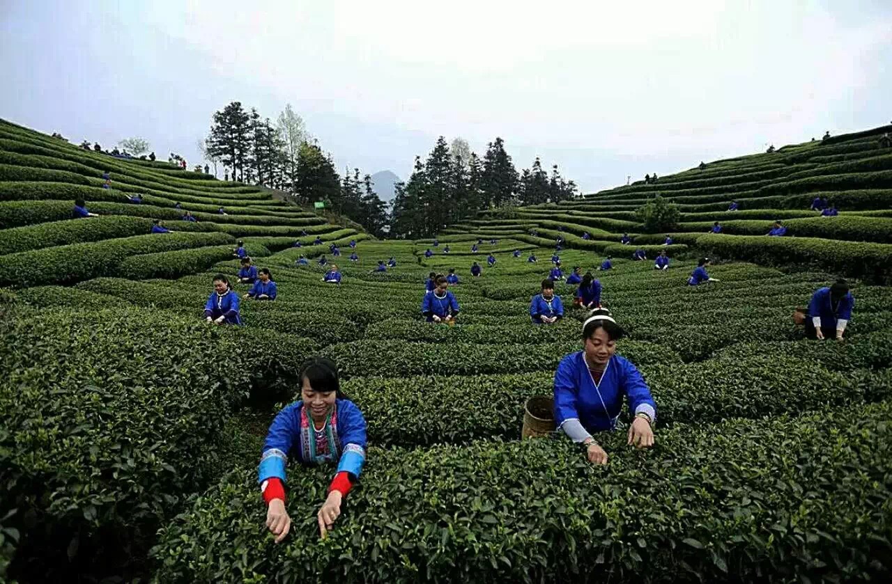 骞胯タ涓夋睙姊敯缇庡コ鍥剧墖,渚楁棌涓夋睙缇庡コ