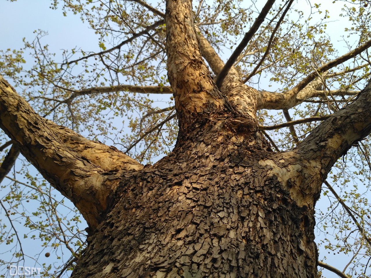 加价200元性价比是否还在?红米3高配版评测