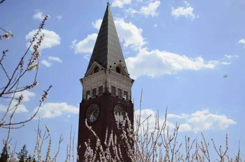 回龙观征婚网,征婚启事爆红全网